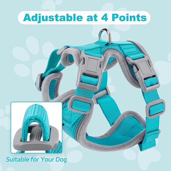 Small Dog Harness and Leash Set, No Pull Adjustable Pet Harness for Small Dogs, Breathable Mesh Rflective Dog Vest Harness (Turquoise, XXS)