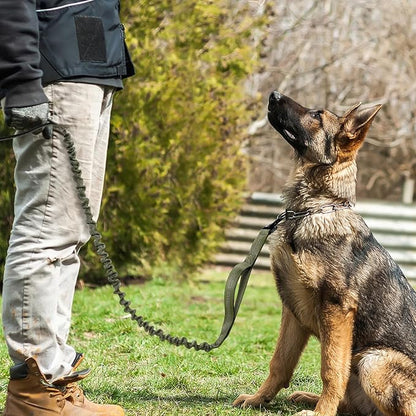 rabbitgoo Tactical Bungee Dog Leash with Shock Absorption, Military Training Leash with 2 Padded Control Handles for Medium Large Dogs, 5.2FT, Green