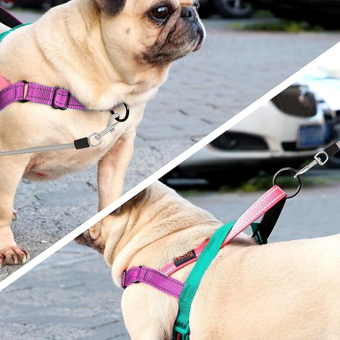 Didog No Pull Dog Harness with Soft Padded Handle, Quick Fit & Lightweight Adjustable Vest Harness, Easy for Training Walking for Small & Medium and Large Dogs(Dark Green,M)