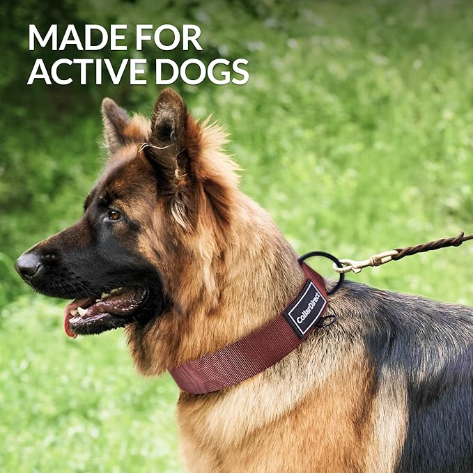 Heavy Duty Dog Collar for Large or Medium Dogs, Adjustable Strong Dog Collar for Active Dogs, Double-Layered Nylon (Rust, 14-20)