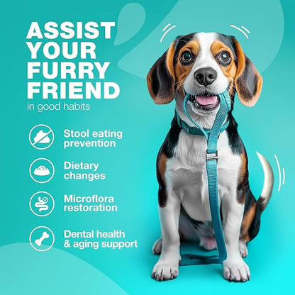 No Poo Chews for Dogs - Coprophagia Deterrent - Dog Probiotics for Digestive Health with Enzymes - Canine Stool Eating Deterrent - Digestive, Dental, Gut & Immune Health Treats - No Poop Eating