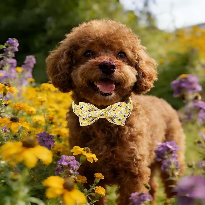 Lionet Paws Spring Dog Collar with Bow tie,Cute Summer Bees Yellow Dog Collar Bow Tie for Dogs Female, Small, Neck 10-16 inches