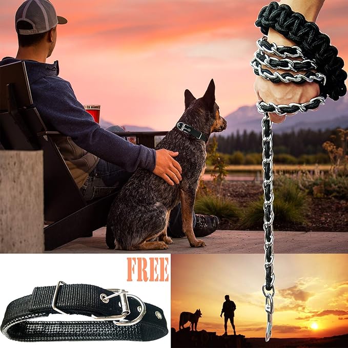 Dog Leash Metal Leashes Chain Rope with Pet Collar Training Walking Leads Heavy Duty Anti Bite 360 Hook for Medium and Large Dogs (Large)