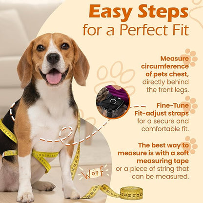 Bark Appeal Black No-Pull Dog Harness for Extra Small Sized Pets – Adjustable, Reflective Vest with 3 Leash Clips for Added Control, Easy Walks & Training – XS