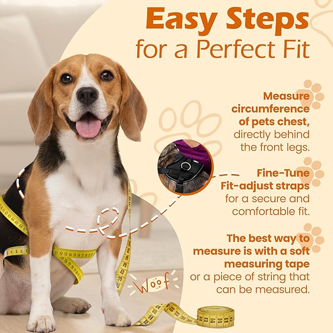 Bark Appeal Black No-Pull Dog Harness for Extra Large Sized Pets – Adjustable, Reflective Vest with 3 Leash Clips for Added Control, Easy Walks & Training – XXL