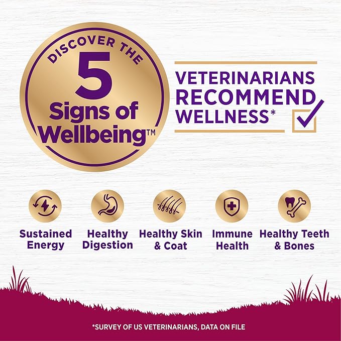 Wellness Complete Health Dry Dog Food, Small Breed, Wholesome Grains, Natural, Healthy Weight Turkey & Brown Rice Recipe, (12-Pound Bag)
