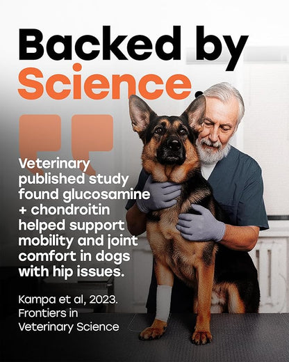 Glucosamine 500mg Hip & Joint Support Supplement for Dogs – Chondroitin, Collagen, MSM & Turmeric Chews – Supports Mobility, Flexibility & Joint Health for Large Breeds & Seniors