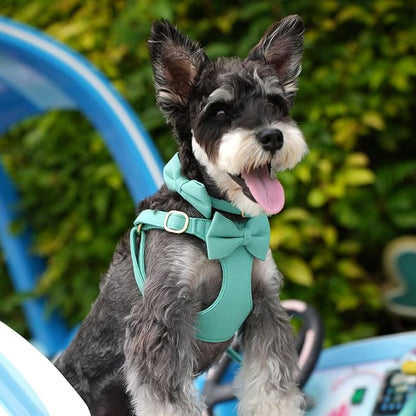 Beirui Adorable Small Dog Harness Collar Leash Set,Cute Puppy Harness with 3 Bows for XS Dogs,Yorkie,Adjustable Step-in Vest for Walking,Parties&Holiday Outfits(Teal,XS)