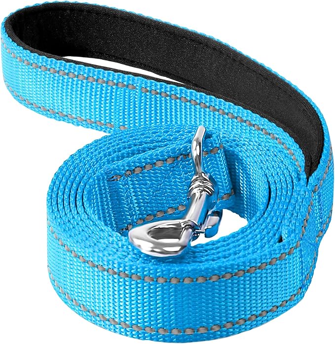 6FT Reflective Nylon Dog Leash with Soft Padded Handle for Walking, Running and Training, Supports Small Medium and Large Dogs (Auqa Blue, 3/4Inch Wide)