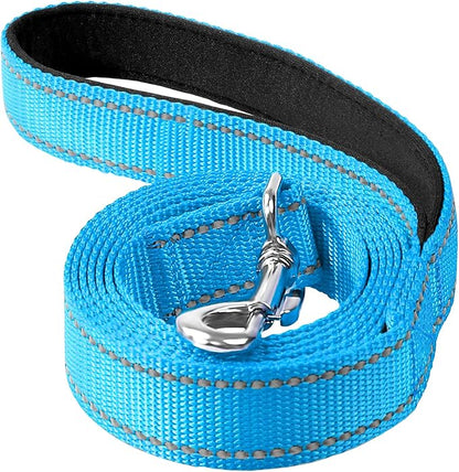 6FT Reflective Nylon Dog Leash with Soft Padded Handle for Walking, Running and Training, Supports Small Medium and Large Dogs (Auqa Blue, 3/4Inch Wide)