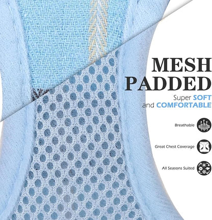 EXPAWLORER Classic Plaid Puppy Harness - Small Dog Harness and Leash Set - Dog Collar and Leash Set with AirTag Holder, Soft Padded Step in Dog Vest Harness No Pull Reflective for Outdoor, Blue XXS