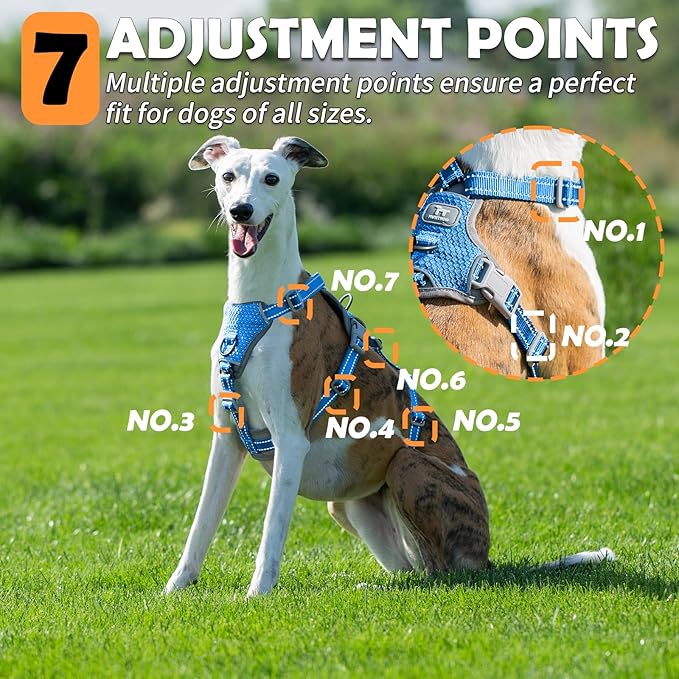 Huntboo Escape Proof Dog Harness – No Pull, No Slip, Fully Reflective, Adjustable 7-Point Design for Small, Medium, and Large Dogs – Lightweight for Outdoor Training & Hiking (Sea Blue, M)