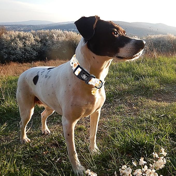Elegant little tail Dog Collar,Flower Pattern Pet Collar Cute Durable Spring Female or Male Adjustable Cotton Pet Collar with Quick Release Buckle for X-Small Puppy