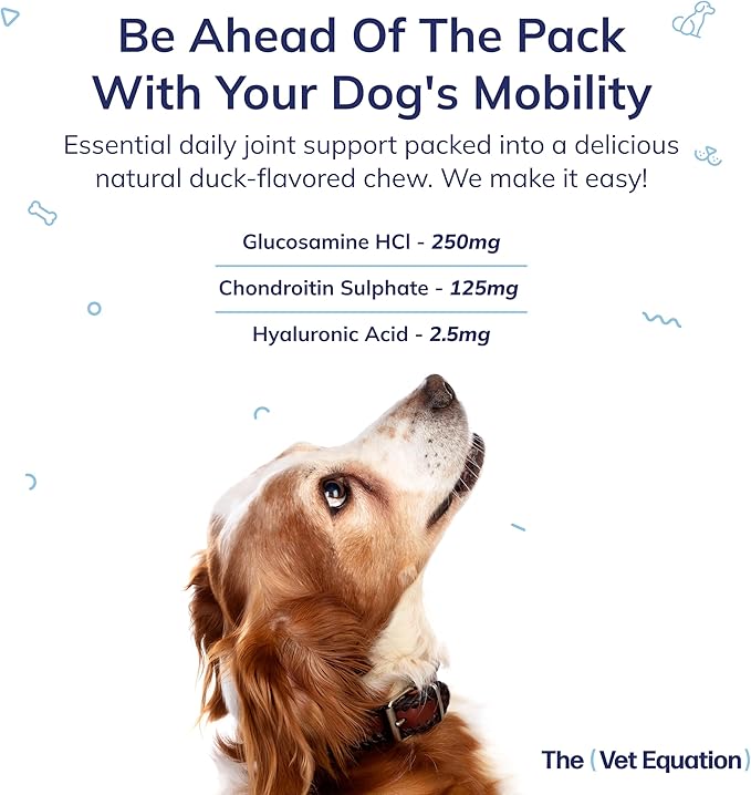 Joints & Mobility Support for Dogs – Duck-Flavored, 90 Chews – with Glucosamine, Chondroitin & Hyaluronic Acid – Supports Joint Health, Cartilage & Flexibility for Active Mobility