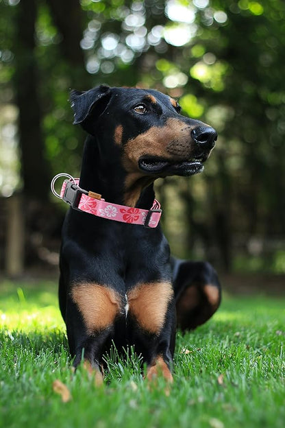 Dog Collar, Cute Floral Pattern, Neoprene Padded and Adjustable Collar with Quick Release Buckle, Reinforced Structure (L (Neck 18-28", Width 1"), Hawaiian Pink)