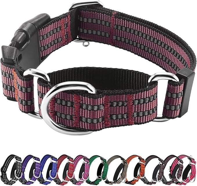 Hikiko Martingale Dog Collars Reflective Nylon Dog Collar with Quick Release Buckle Adjustable Training No Slip Dog Collar (Medium, Burgundy)