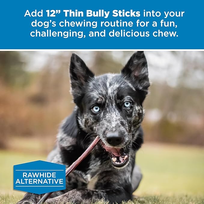 Best Bully Sticks 12 Inch Thin Bully Sticks for Dogs - 24 Count (Pack of 1) - Natural Grain and Rawhide Free, Puppies, Seniors, Small Breeds