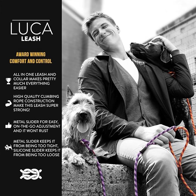 EzyDog Luca Slip Lead Dual Function Premium Heavy Duty Rope Leash for Dogs That Pull Slip Leash & Gentle Lead Head Halter, for Medium and Large Dogs (5.5ft x .33', Orange)