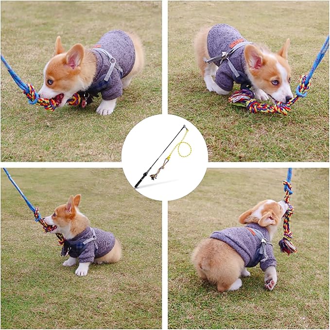 DIBBATU Flirt Pole for Dogs Interactive Dog Toys for Large Medium Small Dogs Chase and Tug of War, Dog Teaser Wand with Lure Chewing Toy for Dog Outdoor Exercise 1 pcs