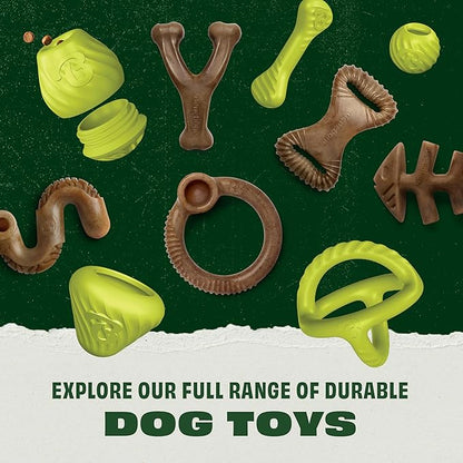 Benebone 2-Pack Rubber Ball