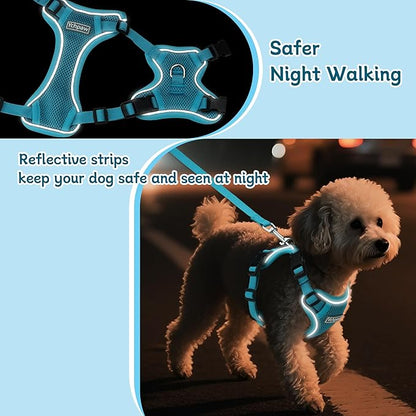 Small Dog Harness and Leash Set, Reflective Soft Breathable Mesh Vest, 3 Buckles, Adjustable Neck and Chest,Step in Dog Harness for Walking, Running, Training, Turquoise, S