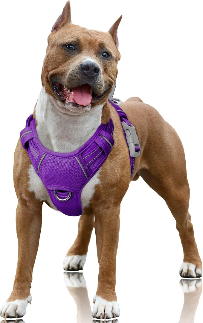 BARKBAY No Pull Dog Harness Large Reflective Dog Harness with Front Clip and Easy Control Handle for Walking Training Running with ID tag Pocket(Purple,L)
