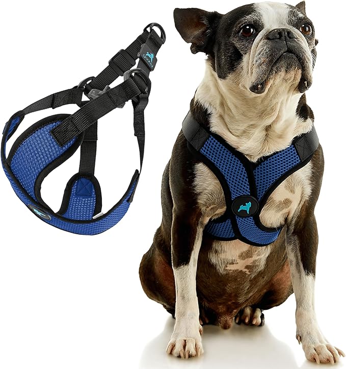 Gooby Comfort X Step in Lite Dog Harness - Choke Free, Escape Free with Light Breathable Mesh - Step in Dog Harness for Small Dogs Only - Quick Release Buckle, Metal D-Rings - Blue, X-Large