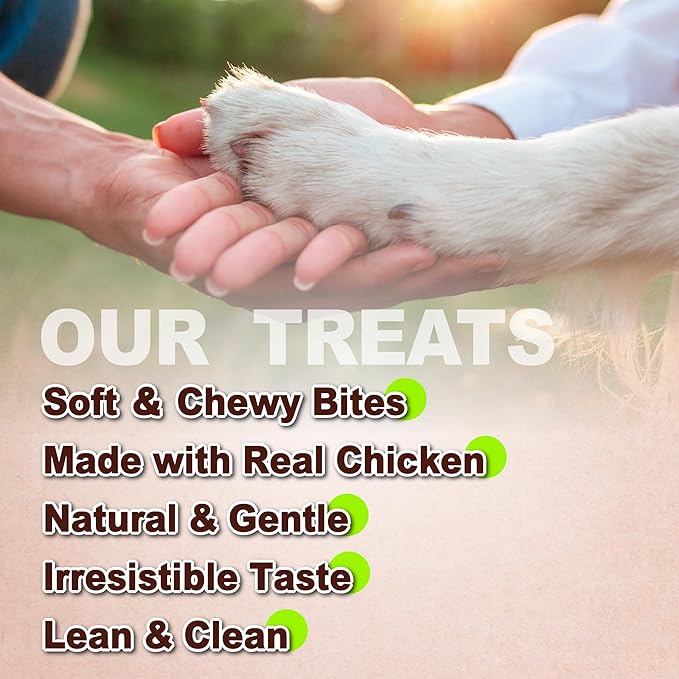 A Freschi srl Soft Chicken Dog Treats, All Natural, High-Protein, Healthy & Easily Digestible, Grain-Free Puppy Chews, Human Grade Training & Rewards Dog Snacks, Chicken Sticks, 16 oz Pack
