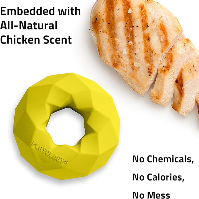 Playology Dog Toys | Channel Chew Ring | Jumbo Chicken Scented Toy - Easy to Clean and Made from Non Toxic Materials