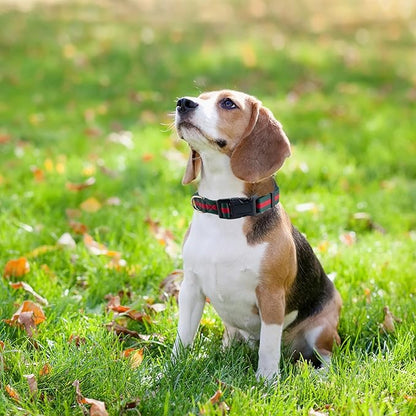 Nobility and Elegant Dog Collar, Comfortable and Durable Pet Collars,Luxury Dog Collars Packing Gift for Puppy Small Dogs