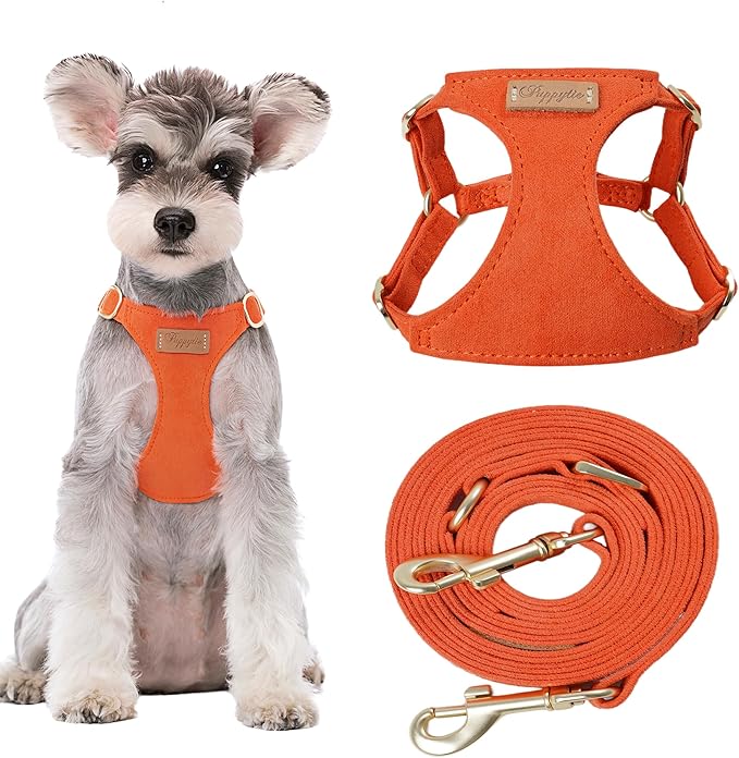 Puppytie No Pull Small Dog Harness with Multifunction Dog Leash,Lightweight Soft Adjustable No Choke Escape Proof Pet Harness Vest Pet Harness Vest,Orange,S