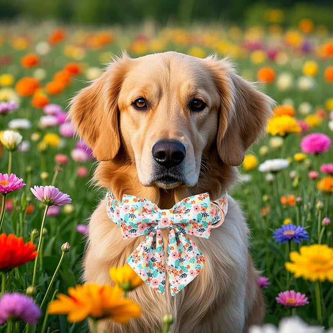 Floral Dog Collar with Bow Tie - Adjustable Blue Flower Lady Bow Collar Breathable Comfort Spring-Summer Dog Collars for Small Medium Large Dogs XL