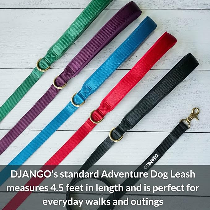 DJANGO Adventure Dog Leash – Strong, Comfortable, and Stylish Dog Leash with Solid Brass Hardware and Padded Handle - Designed for Outdoor Adventures and Everyday Use (Black)