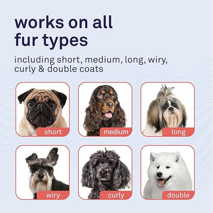Petpost | Oatmeal & Chamomile Dog Shampoo. Soothes Dry, Sensitive Skin, Moisturizes & Softens Coat with Aloe & Yucca. 16 oz