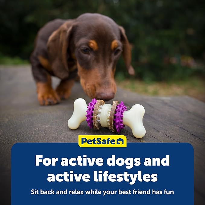 PetSafe Busy Buddy Bristle Bone - Chew Toy for Dental Health Support - Durable Dog Plaything for Tough Chewers - Includes 4 Refillable Treat Rings - Safe Chew Toy for Large Dogs (50-90 lbs)