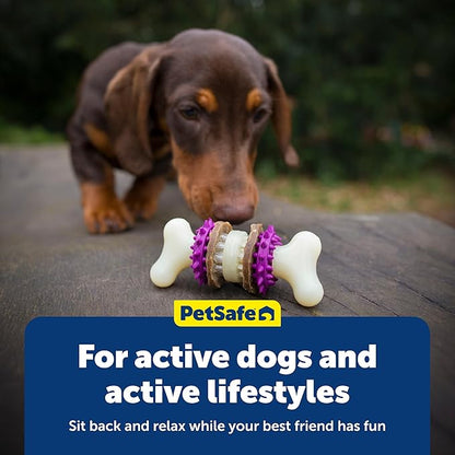 PetSafe Busy Buddy Bristle Bone - Chew Toy for Dental Health Support - Durable Dog Plaything for Tough Chewers - Includes 4 Refillable Treat Rings - Safe Chew Toy for Large Dogs (50-90 lbs)