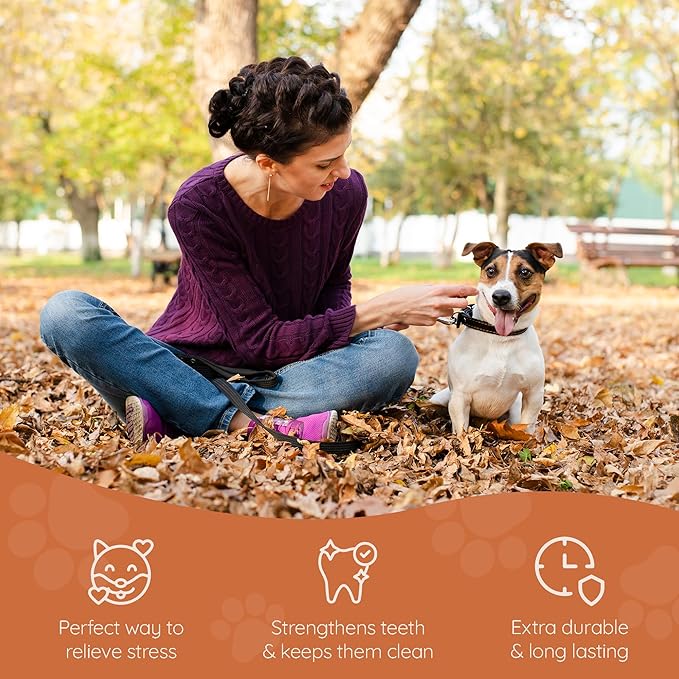 Wildfang® Briar Wood Chewing Root, Small - Splinter Free Wood Dog Chew Toys for Aggressive Chewer, Odorless Natural Teething Toys Dogs Dental Health, Healthy Gums (for Dogs Under 33 lbs), Pack of 1