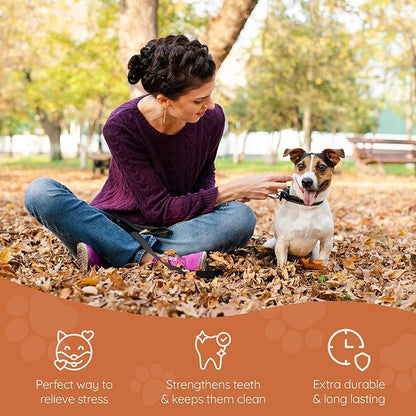 Wildfang® Briar Wood Chewing Root, Small - Splinter Free Wood Dog Chew Toys for Aggressive Chewer, Odorless Natural Teething Toys Dogs Dental Health, Healthy Gums (for Dogs Under 33 lbs), Pack of 1