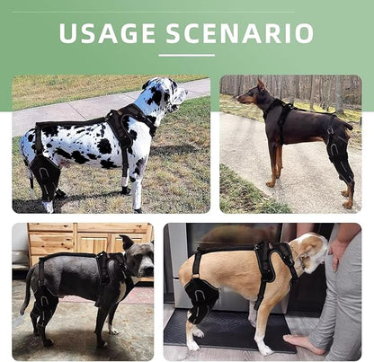 Dog Knee Brace for ACL/CCL Injuries,Torn Ligament,Pain Relief,Joint Warmth,Luxating Patella - Rear Leg Support,Both Legs,Black,M