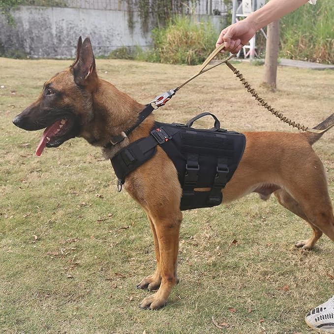 ICEFANG GN3 Tactical Dog Harness with 6X Buckle,Dog Molle Vest with Handle,3/4 Body Coverage,Hook and Loop Panel for ID Patch,No Pulling Front Clip (XL (32"-39" Girth), Black)