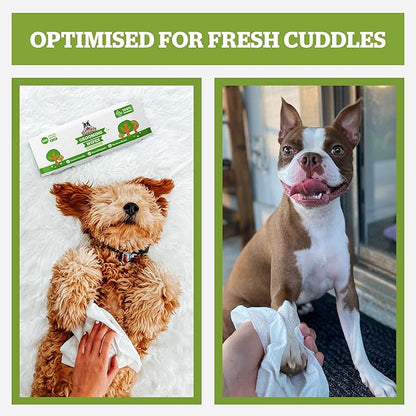 Pogi’s Dog Wipes Travel Packs – Hypoallergenic Pet Wipes for Paws, Body & Butt – Cleaning & Hydrating, Green Tea Scent, 240-Count