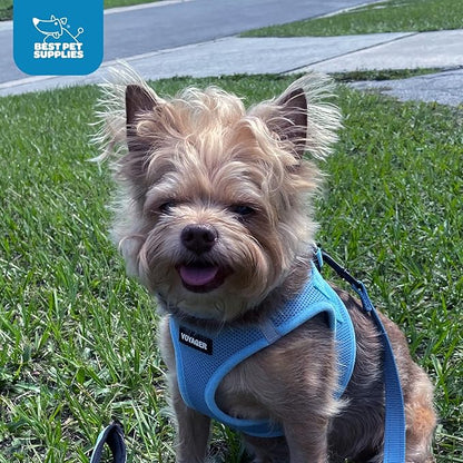 Best Pet Supplies Voyager Step-in Air Harness - All Weather Mesh, Reflective, No Pull Harness for Dogs, Cats - Secure with Hook & Loop Fastener, Buckle, Double D-Rings - Baby Blue, XS