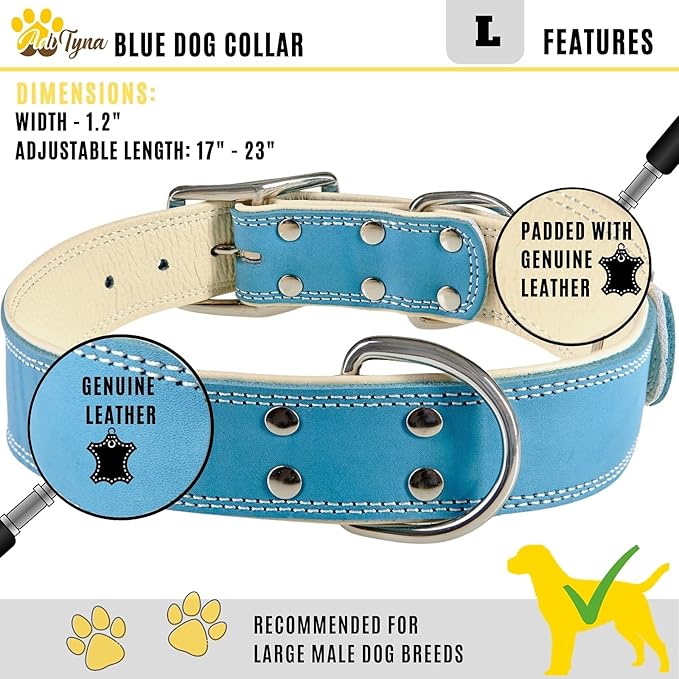 ADITYNA Heavy-Duty Leather Dog Collar for Large Dogs - Soft Padded for Comfort - Blue Dog Collar for Walking, Training, and Hiking