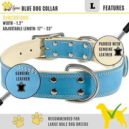 ADITYNA Heavy-Duty Leather Dog Collar for Large Dogs - Soft Padded for Comfort - Blue Dog Collar for Walking, Training, and Hiking