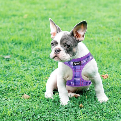 PUPTECK Dog Harness and Leash Set for Small Medium Dogs No Pull Step-in Soft Mesh Puppy Cat Vest Harnesses Reflective at Night, Plaid Pattern Purple S