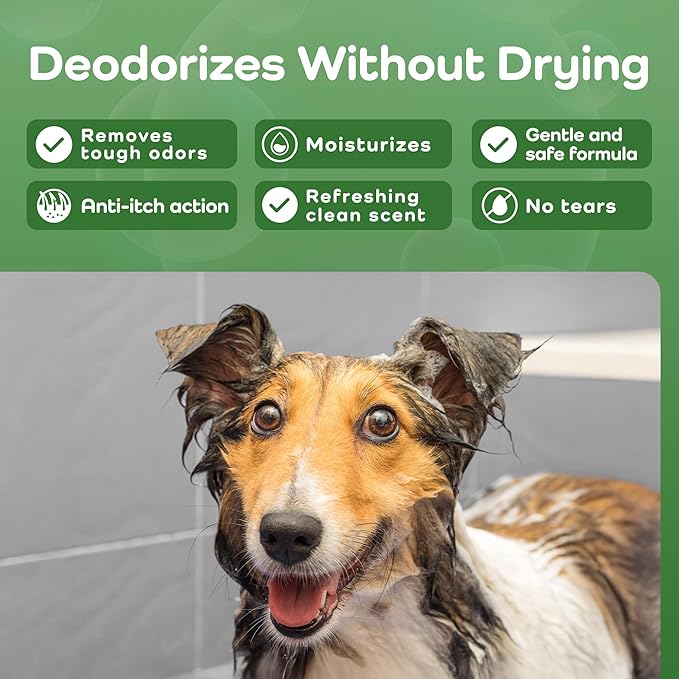 Sensitive Care -Tangle-Free-Silky Shine Softening and detangling Shampoo, Delicate Coat Clean & Odor Control Shampoo – Advanced Shine Formula for Dogs (Border Collie, 16 Fluid Ounces)