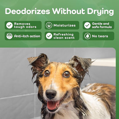 Sensitive Care -Tangle-Free-Silky Shine Softening and detangling Shampoo, Delicate Coat Clean & Odor Control Shampoo – Advanced Shine Formula for Dogs (Border Collie, 16 Fluid Ounces)