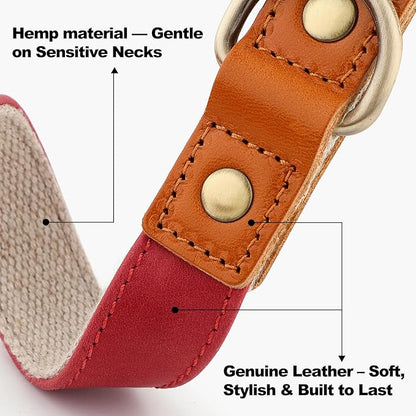 Plutus Pet Genuine Leather & Hemp Dog Collar – Adjustable Heavy Duty Pet Collar with Quick Release Metal Buckle, Soft & Stylish for Puppy and Small, Medium, Large Dogs (Red, XS)