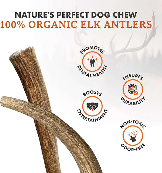Alpha Dog Nutrition Elk Antler Chews (Large, Whole)