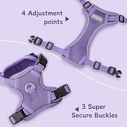 Small Dog Harness and Leash Set, Reflective Soft Breathable Mesh Vest, 3 Buckles, Adjustable Neck and Chest,Step in Dog Harness for Walking, Running, Training, Purple, M